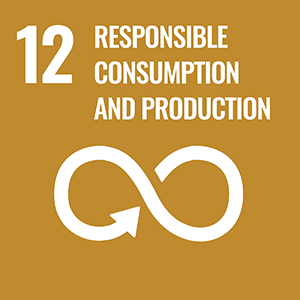 SDGs LOGO 12.RESPONSIBLE CONSUMPTION AND PRODUCTION