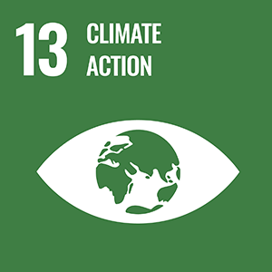 SDGs LOGO 13.CLIMATE ACTION