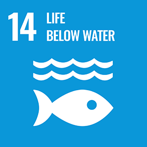 SDGs LOGO 14.LIFE BELOW WATER